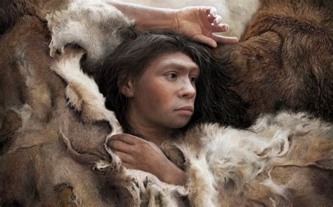 neanderthal woman pictures